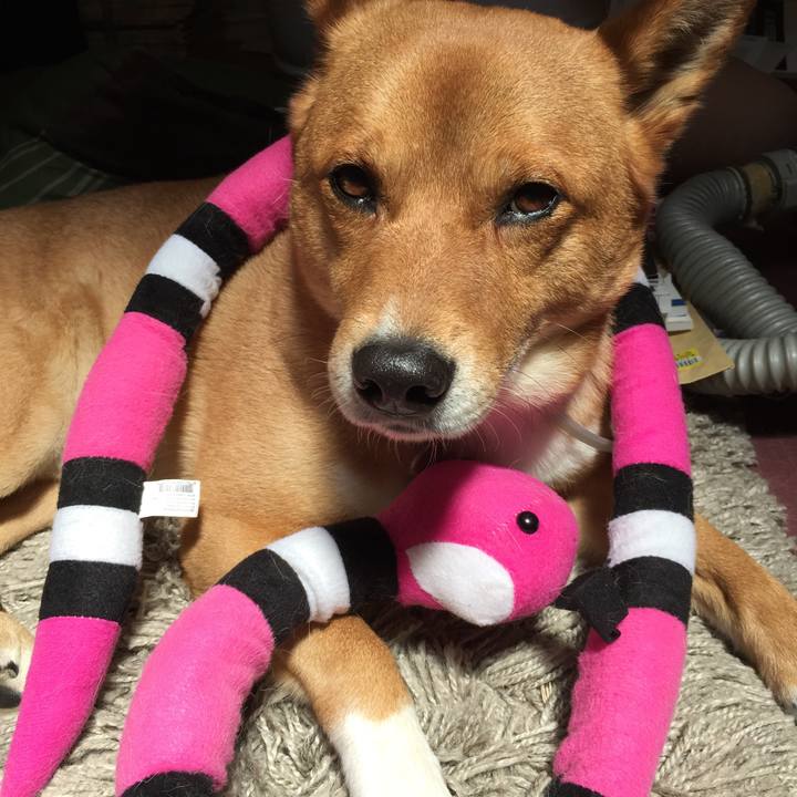 66f8f844 d529 4dd5 809a 9c1ad7448b24