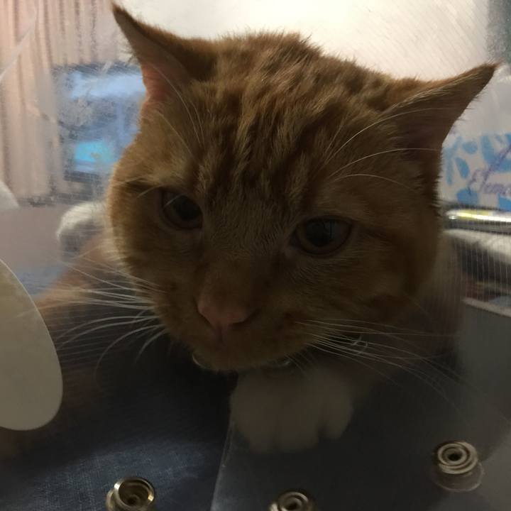 66fa5866 4ef2 40d5 bc8a 4f3d94097a02