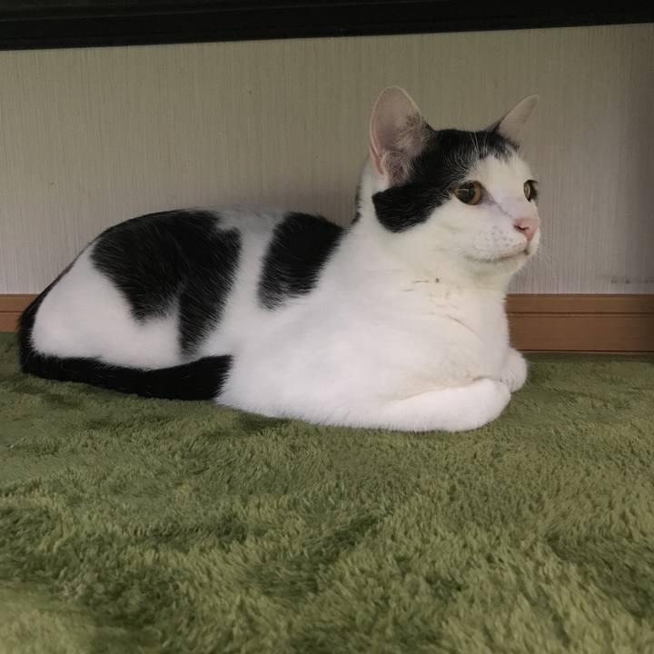 66fa72ac b431 4476 b6bb c76abd433d6b