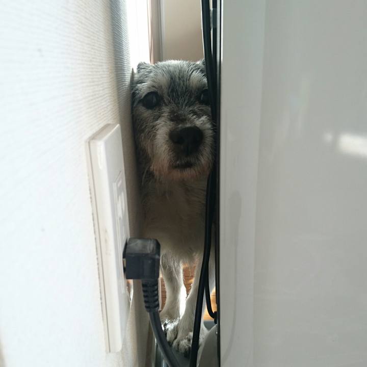 66fad8e5 b98f 490e 9eca a543e23ed6f6