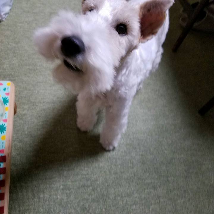 66fb322d 7729 4773 bc20 b1ad44132062