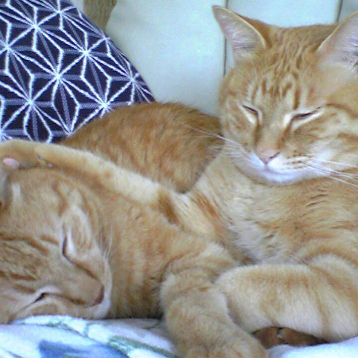 66fc37a1 3275 4198 a7df a115dfbae7da