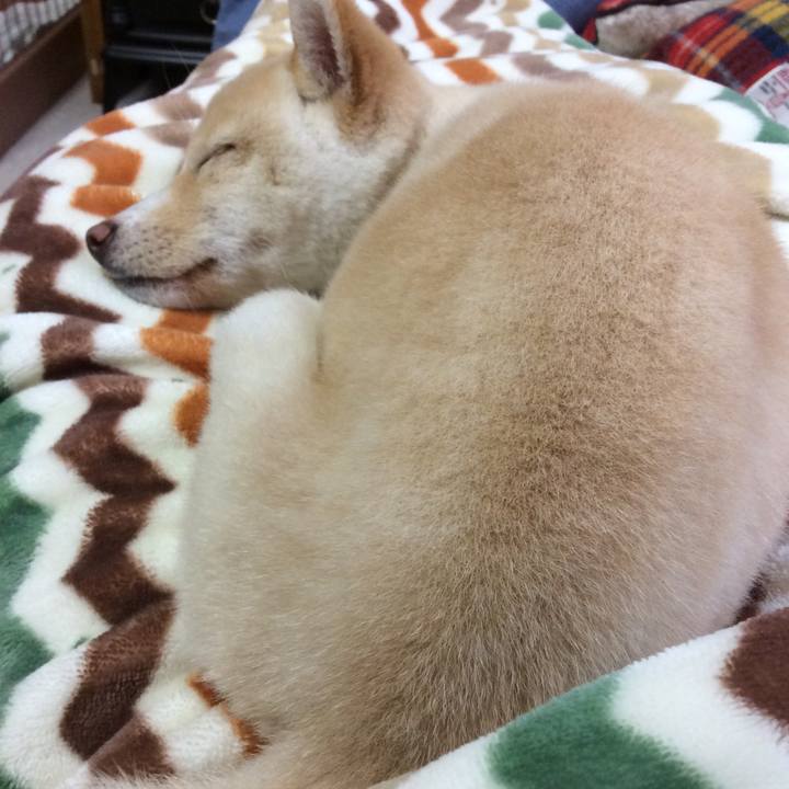 66fcc53a 254f 45c7 817c 4f60df0d3edf