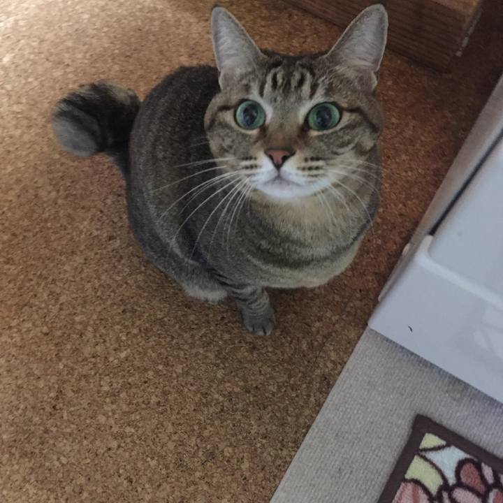 66fd7a65 0df7 470f b2bd 9180fb314d4f