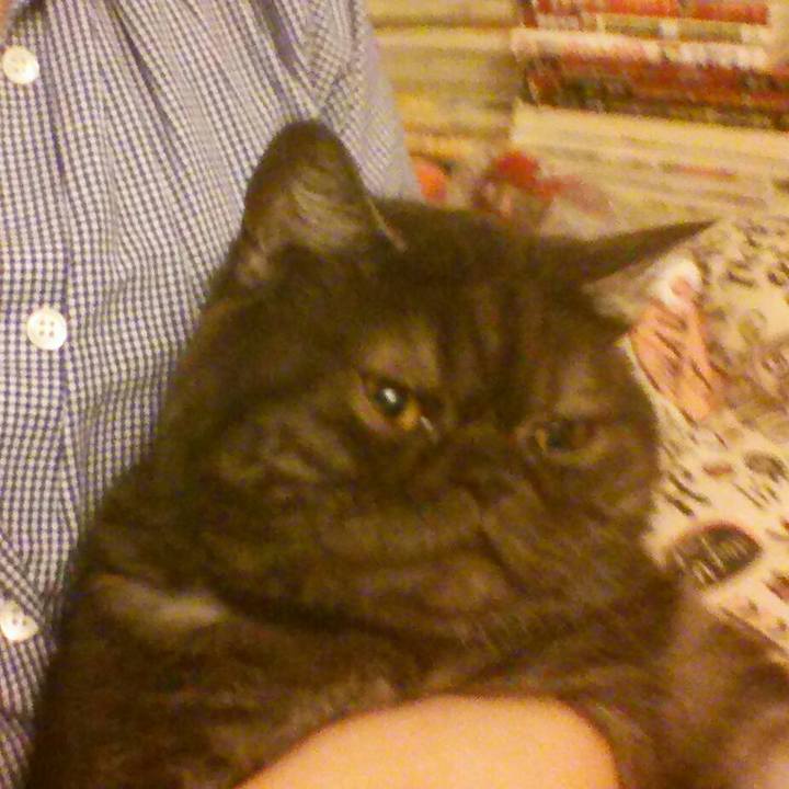 66fd7da9 75a6 4a7b 9b61 fd39ef147279