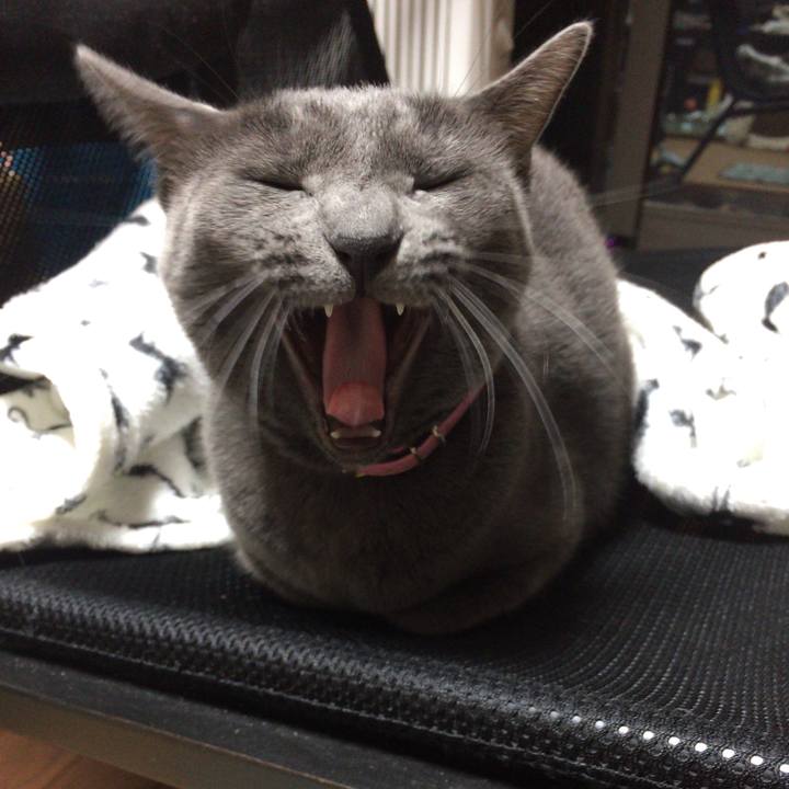 66fdeb73 84ba 4352 8cff 534f9cb63de9