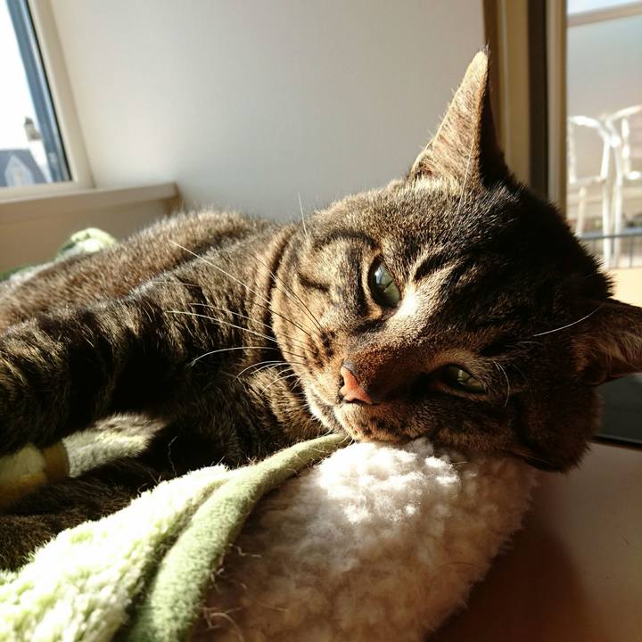 66fe2ecd 4df0 4743 9c28 2dd73d10a926