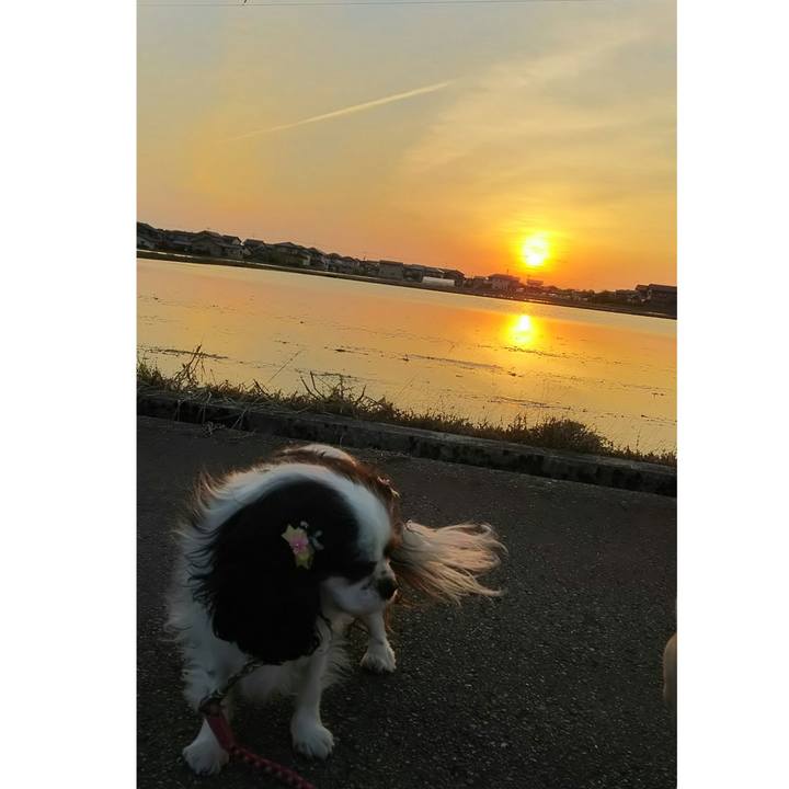 66fe5172 95fa 4032 810d 1ed274c12f3f