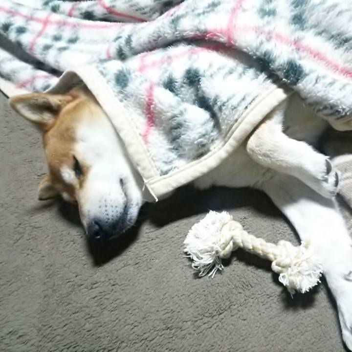 66fe7d96 9907 44ec 8d44 ae7bd521b436