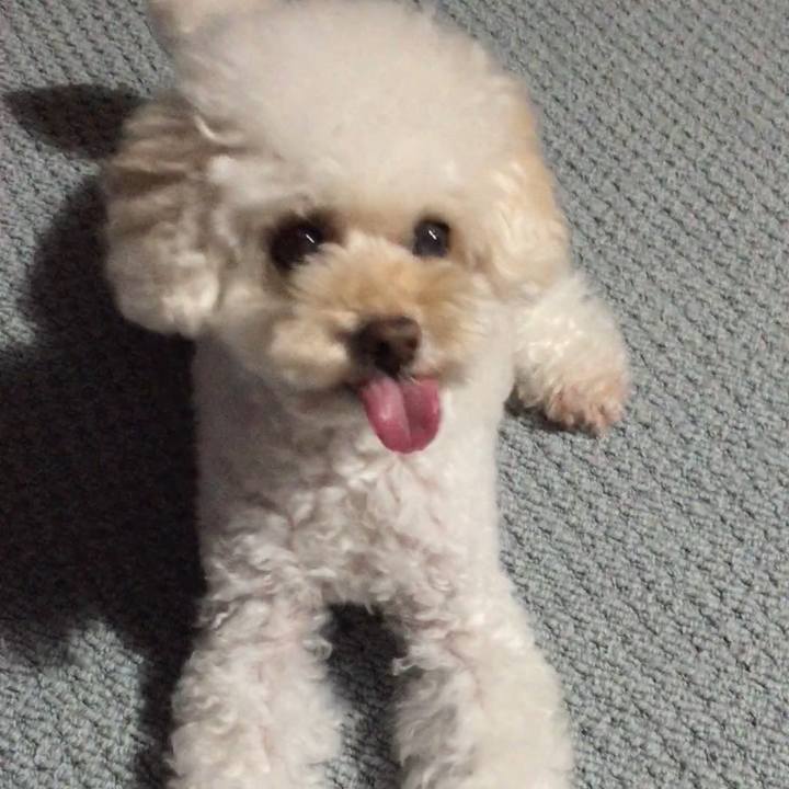 66ff2cb3 f5c6 48d3 a97e dd014111a343