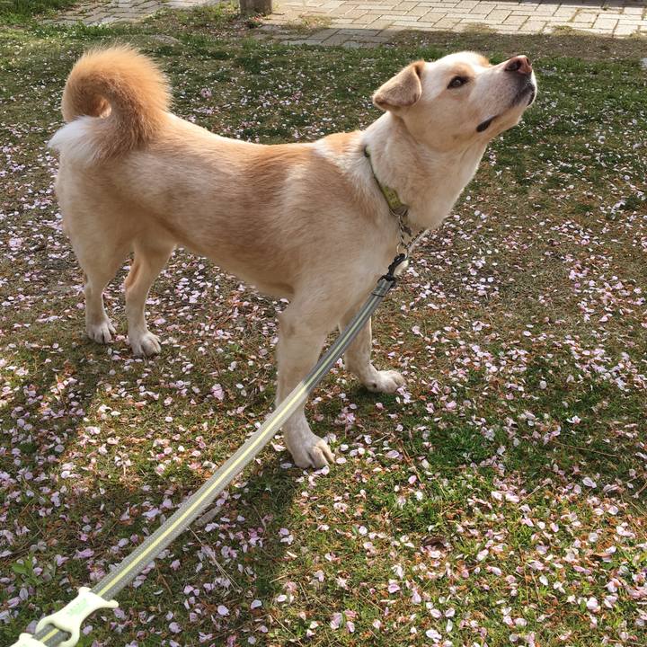 66fffaf4 ac73 4b8a 8719 b7952a99a2e0