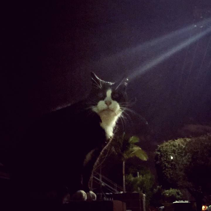 66fffc99 83b3 4095 ba96 be1995882198