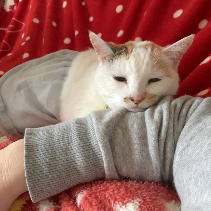 67008437 9fef 4ea4 9f29 a50b109245ae