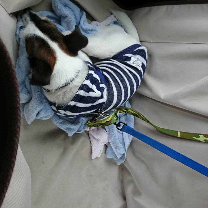 67010ced 0e38 4485 8423 1948b30b0e7f