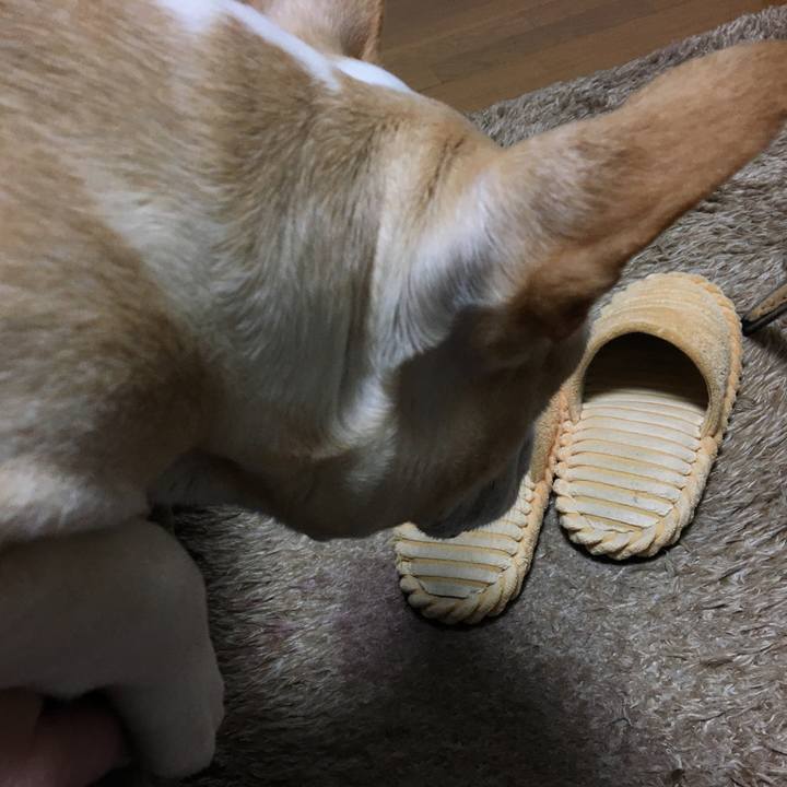 670142e0 1872 49c9 8b60 0c162226b912