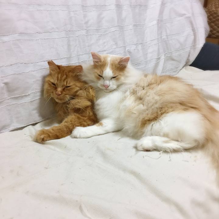 6701b2f3 cca3 4584 bd32 b71768b2bc42