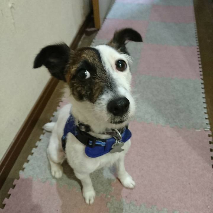 670211bc 322e 4fc0 b435 1b70e79f2124