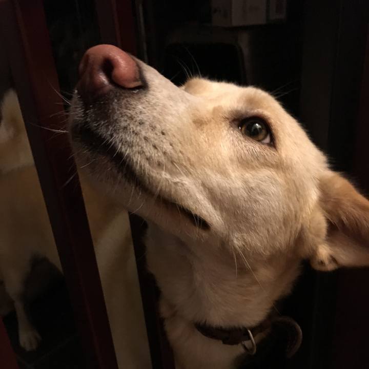 6702405e a308 4c7d 8e96 81fb5a6641da