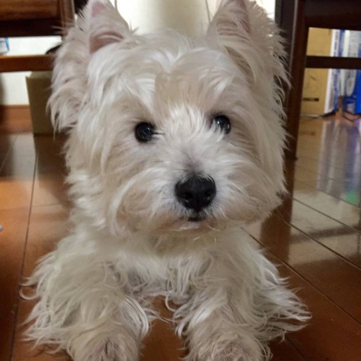 67026634 b78b 424f 8afe 3fd67e65535f