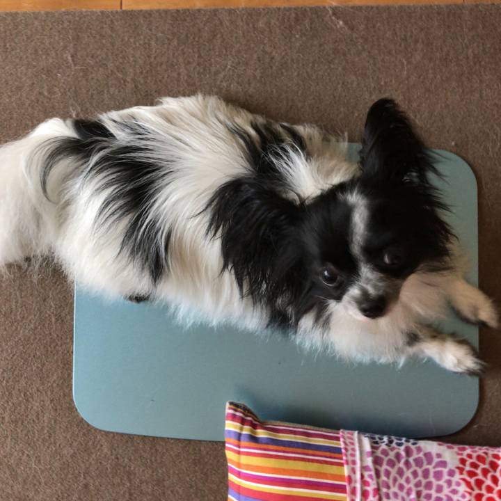 67030ef4 d28b 4583 a519 22244db26290