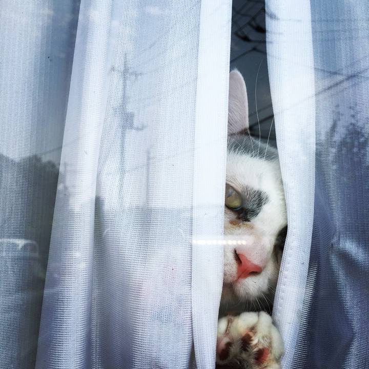 67032eaa 54b2 4ee1 bf2d 42b457fdcbf5