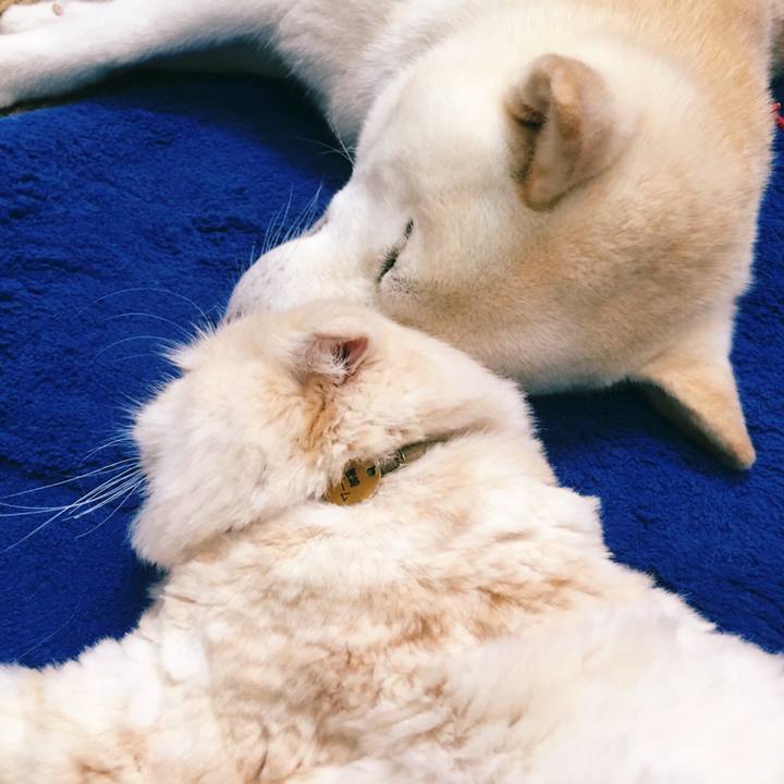 6703755a c15f 4585 8e1d fb1133a650ce