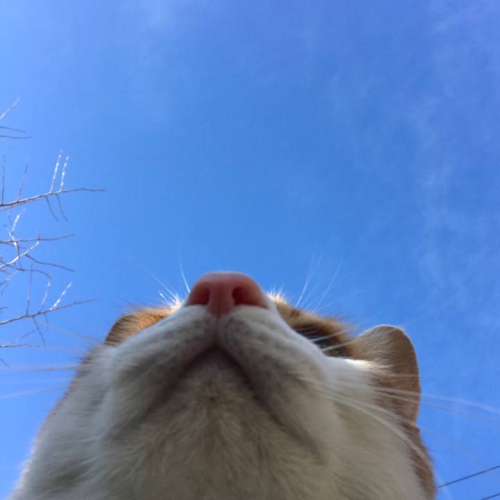 67038371 adc3 446c 95b9 3d9bae631e82