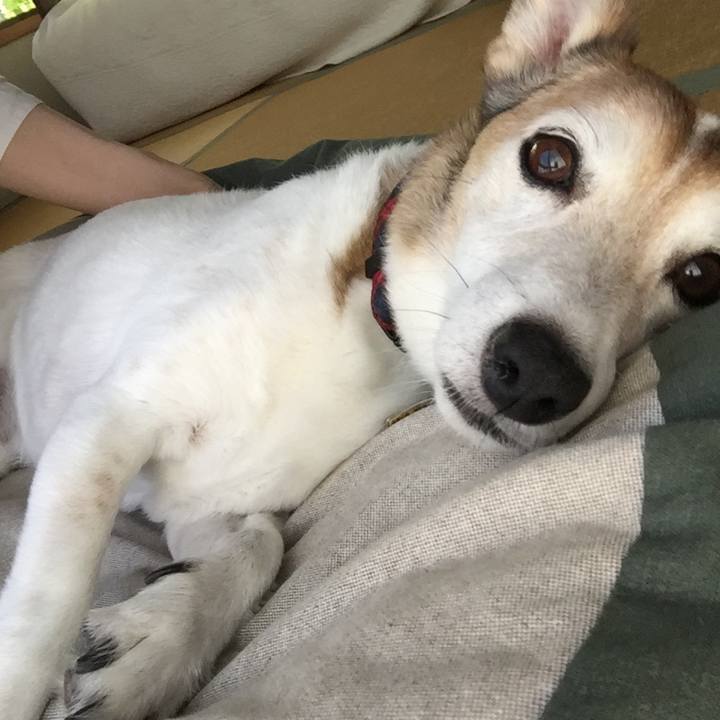 670448b0 80e0 474b b73a 8493b1ce1ed5