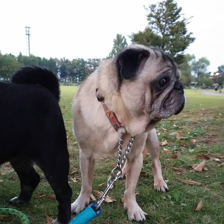 67046475 6f26 47a7 b11a e8004e119358