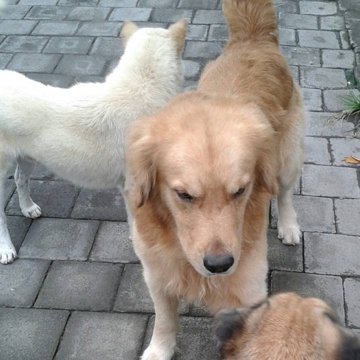 67047b82 e765 4d0a b904 496fab1977e8