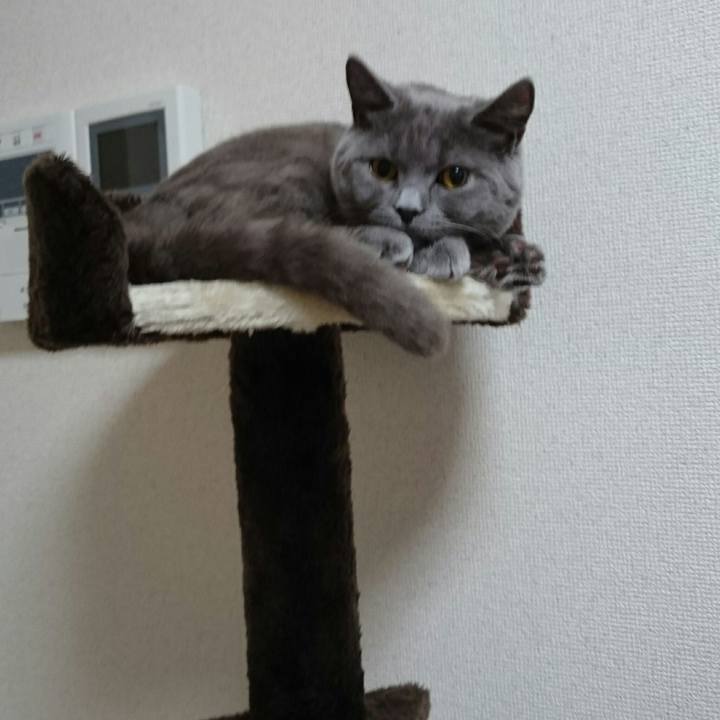 6705718d ed01 494d 9a01 ce853d3aa3a0