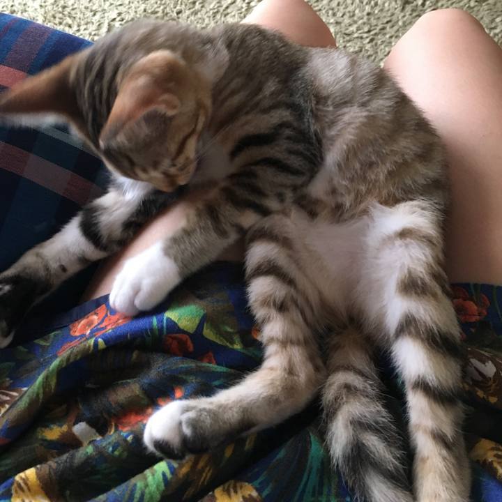 6705d877 18a9 4b39 b9a6 f96dd9fce977