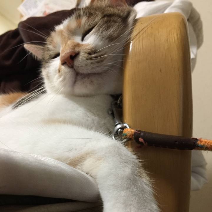 6705f19c 4df7 422f 9e78 a7a590d505d8