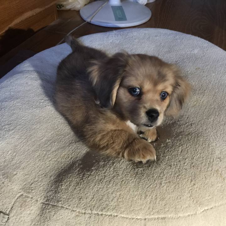 67069e9e 0964 49d4 9885 d9a4f6538647