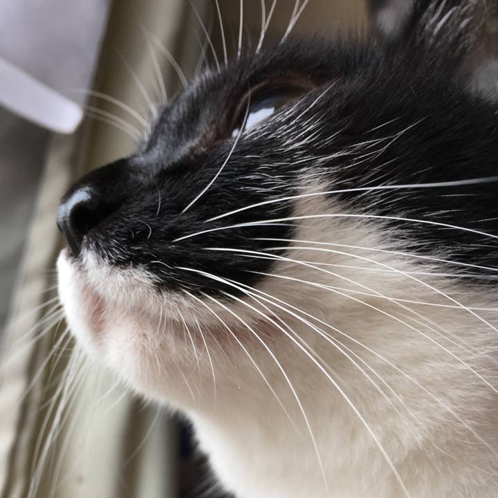 67073a55 3c34 4f98 afe2 9a21eedfb440