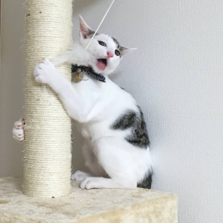 67077d65 a64f 45f3 802f 5e83952cf2a6