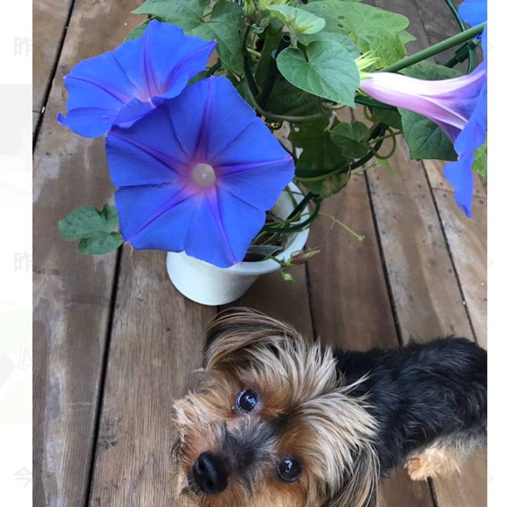 6707b7eb 977c 4598 ab0a 4f9426826142