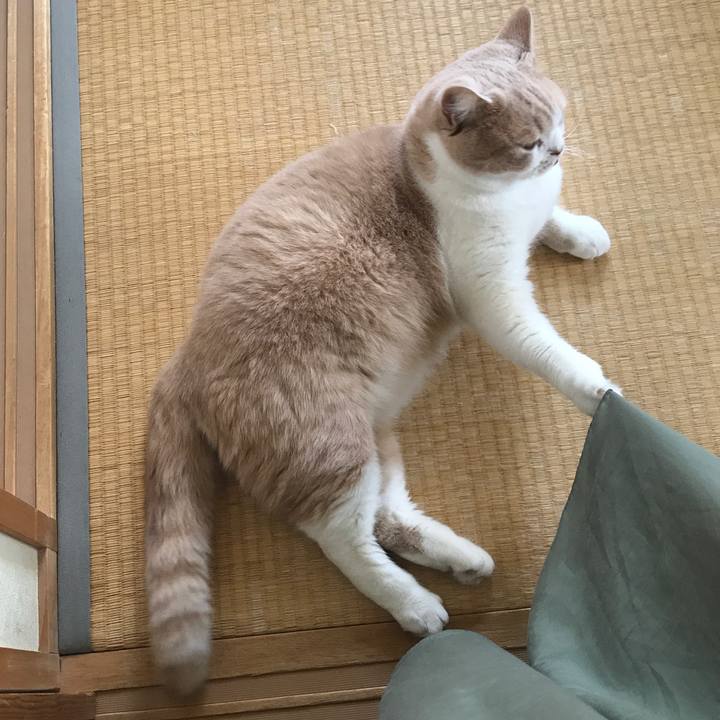 67083fbc d80b 4f61 91a1 3f2557c70f5a