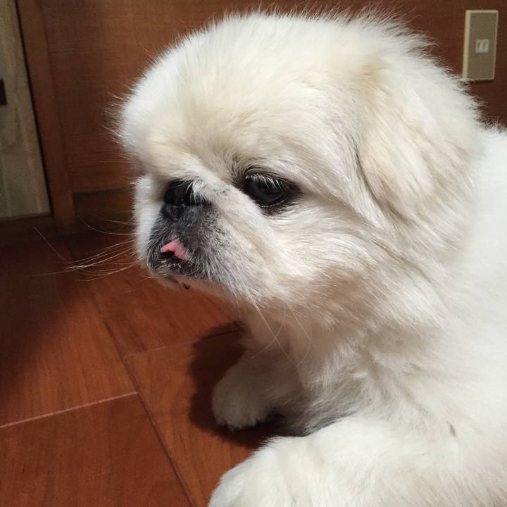 6708bbc1 68a7 49f3 8f87 2a903fef7d20