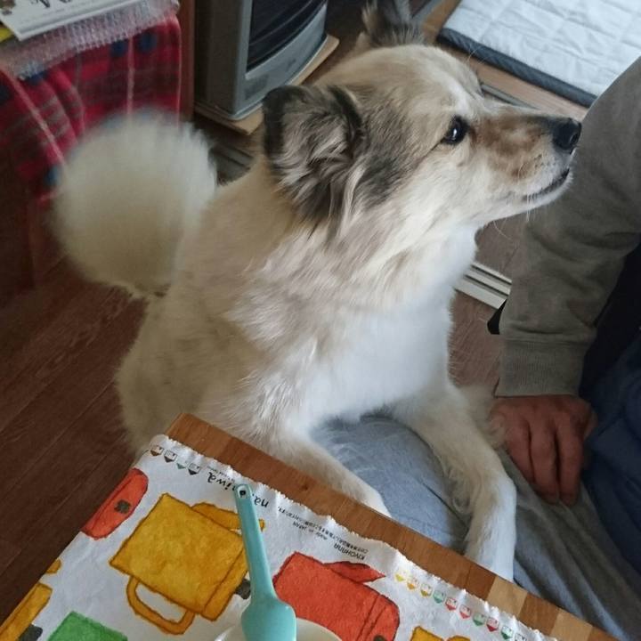 6709c8cf 7e1e 4679 9dde 7fadf26c0617