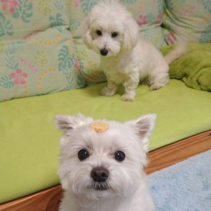 670a07c2 2708 4077 b769 7025969ae165