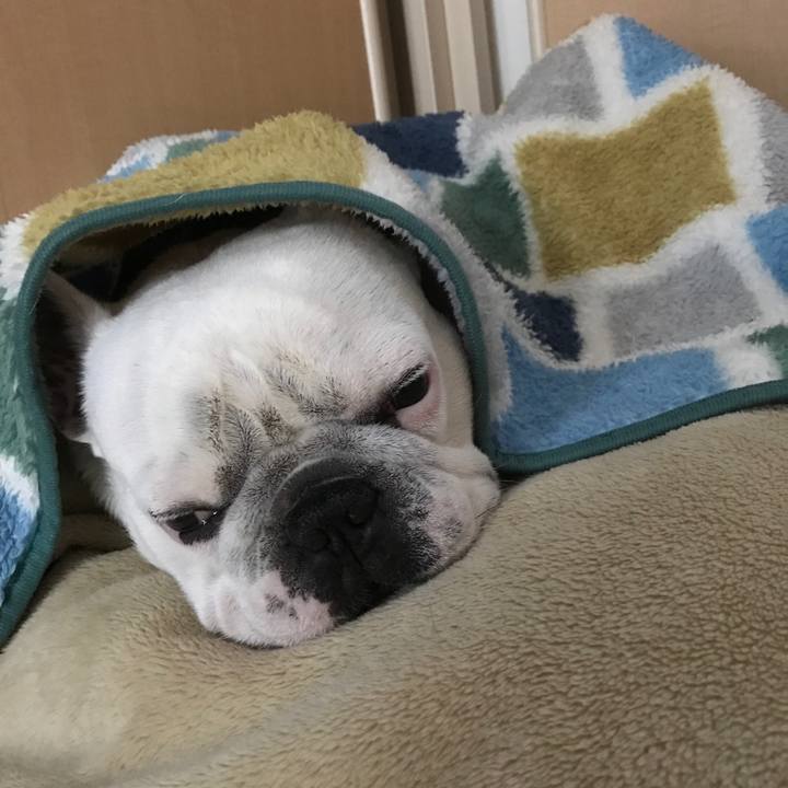 670a149e e10c 46db b361 bd089127f7b1