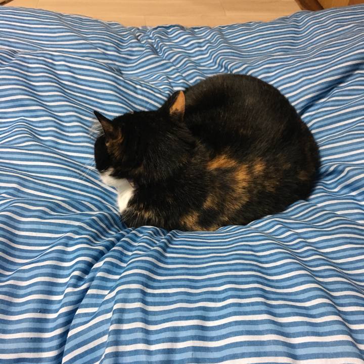 670a59ac 9931 4d0a 9bee b025ac1da74c