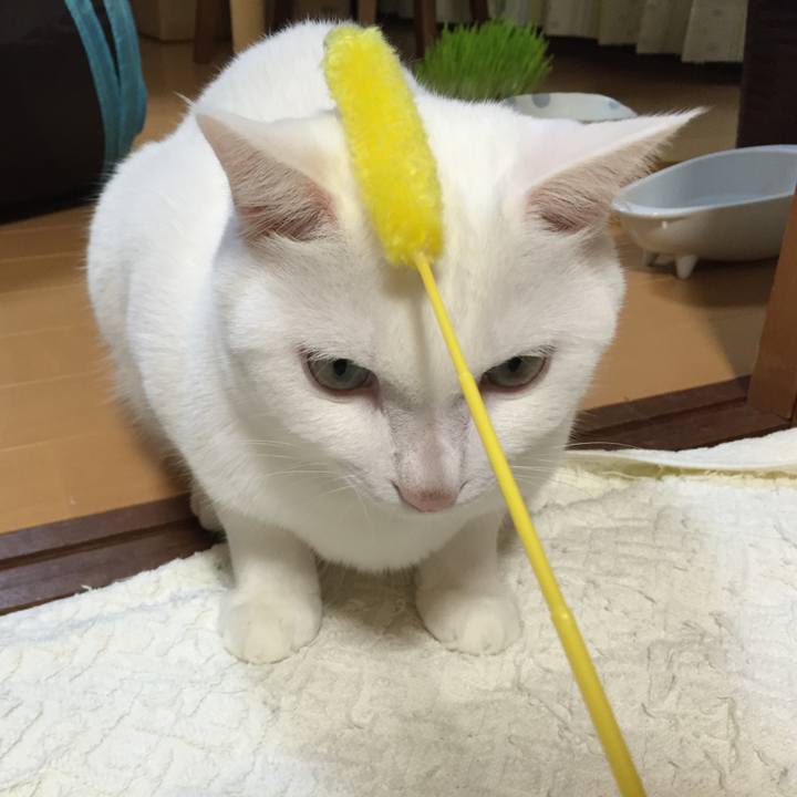 670b234c be3d 4e86 8115 5f508bc11dfb