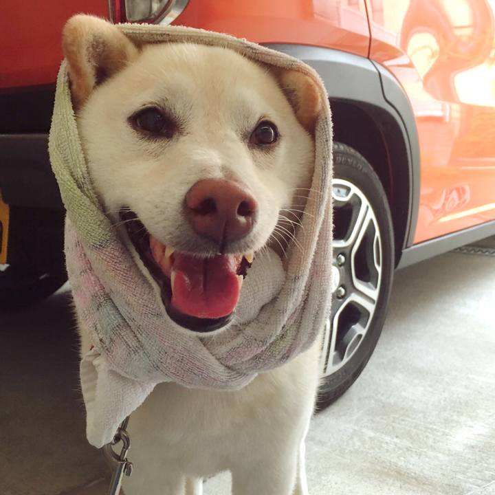 670ba7d7 33fa 44cb b11c 9a3236718b88