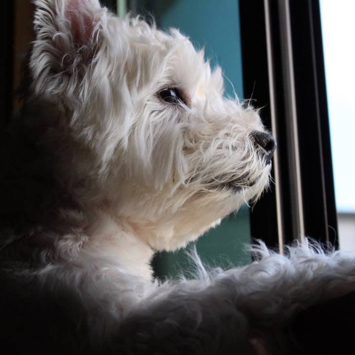 670baa71 206a 4da2 847b 3344c91327bc