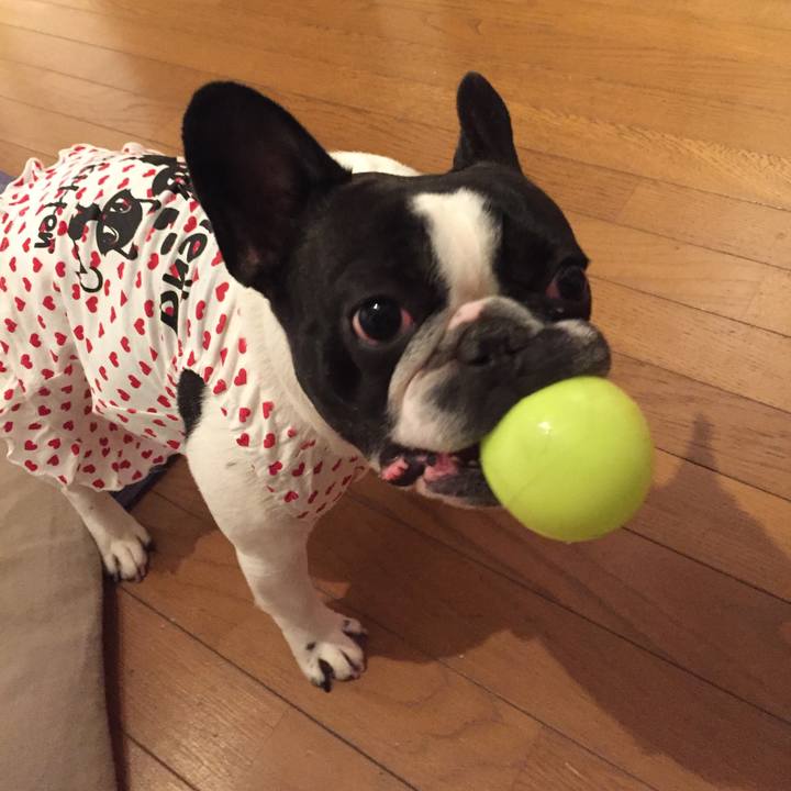 670c0e3c 0736 49d7 b880 dcbf9115ce5e