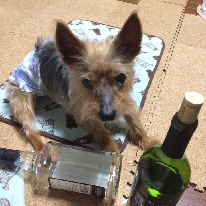 670c41cf a377 4072 b28d 7bf3d7e73b90