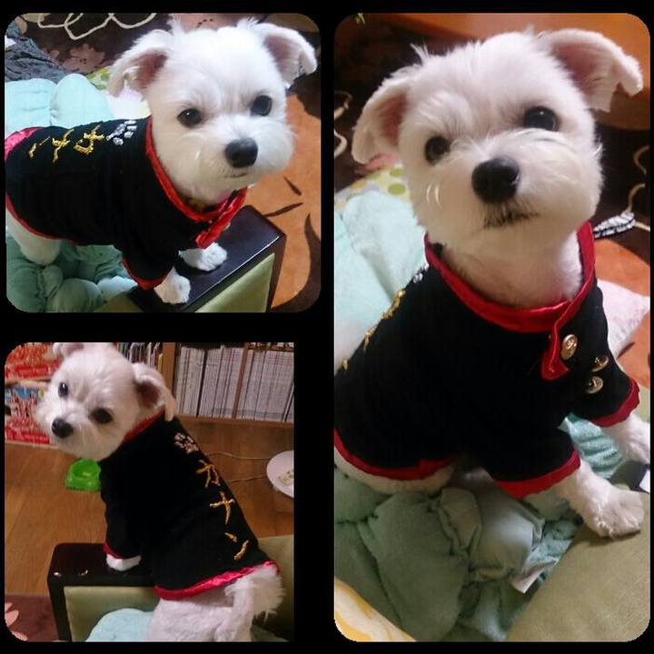 670d4bc7 bbce 4fc0 b2fd 0fa234d314c3