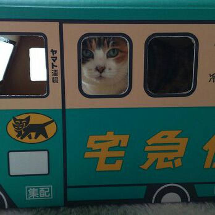 670d5b84 1ba9 405d 87d4 c3597a6673a9